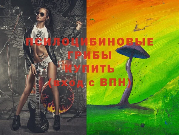 крисы Аркадак