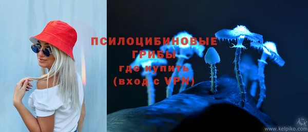 дмт Арсеньев