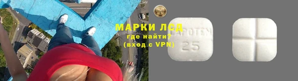 крисы Аркадак