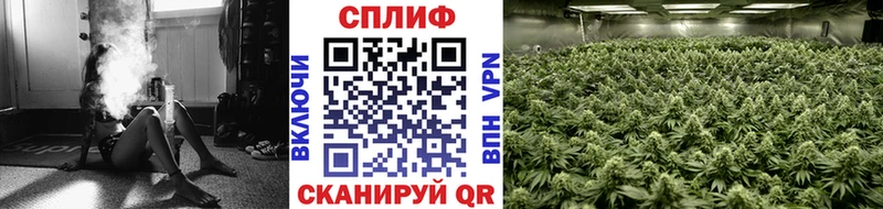 Марихуана ГИДРОПОН Магадан